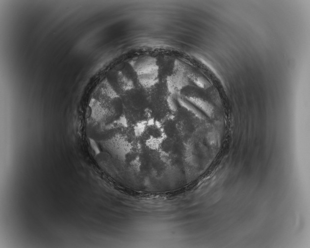 X0000091720823200709141203