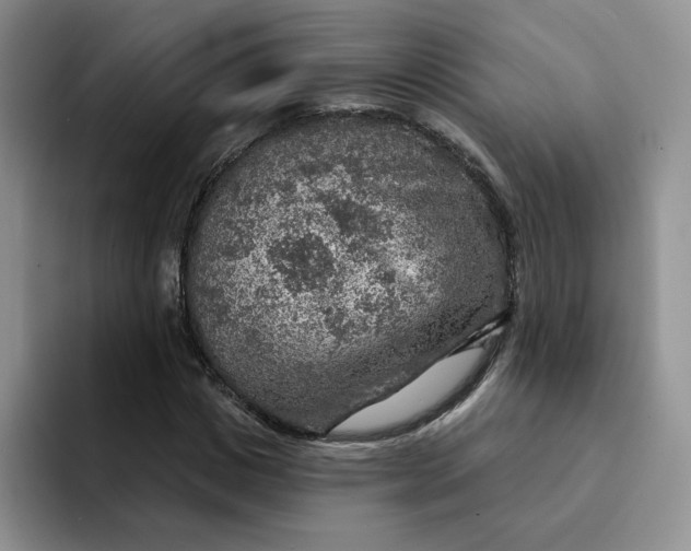 X0000091720825200709141203