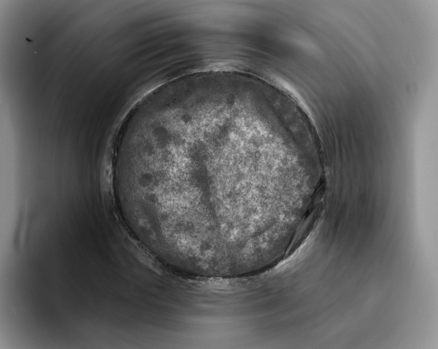 X0000091720827200709141203