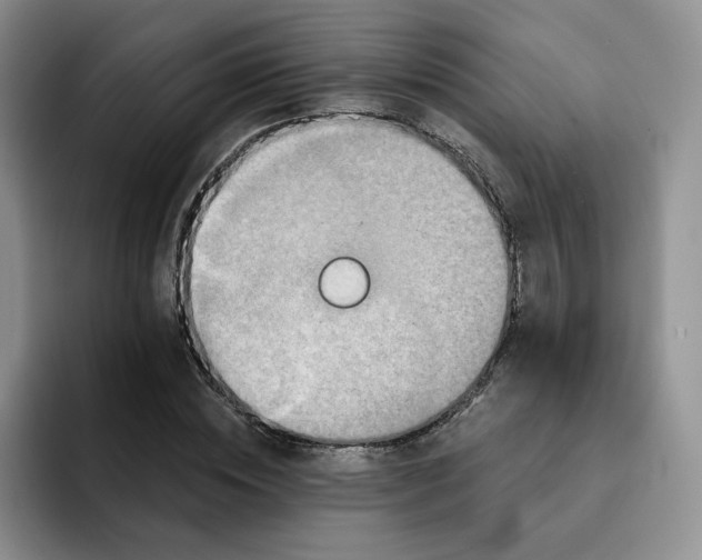 X0000091720828200709141204