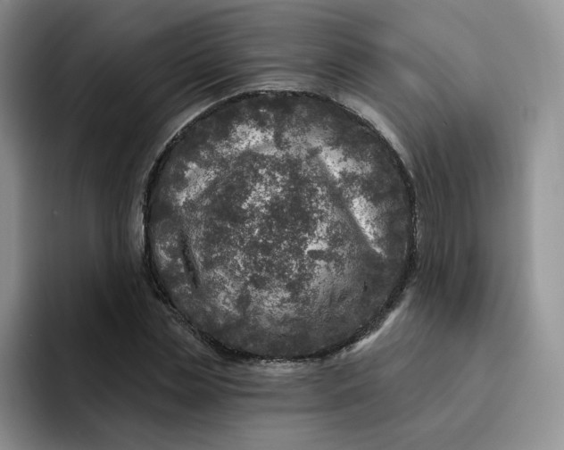 X0000091720829200709141204