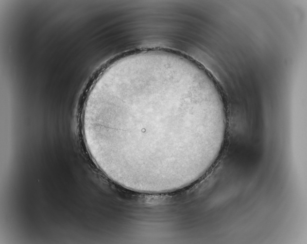 X0000091720832200709141204