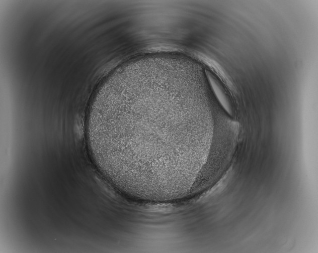 X0000091720833200709141204