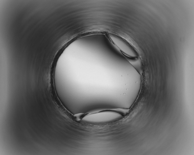 X0000091720834200709141204