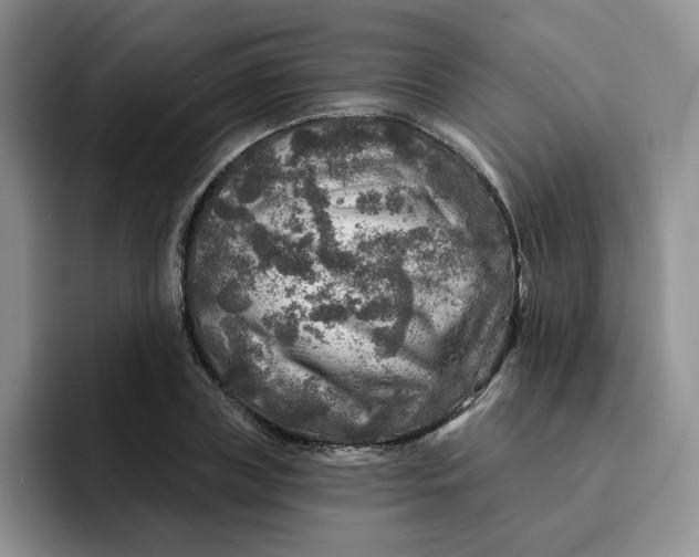 X0000091720835200709141204