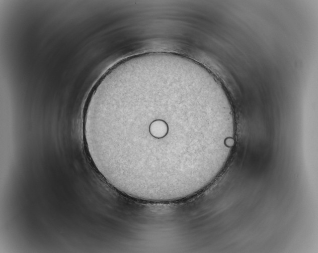 X0000091720836200709141204