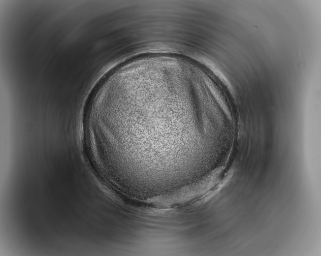 X0000091720837200709141204