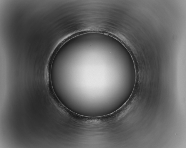 X0000091720838200709141204