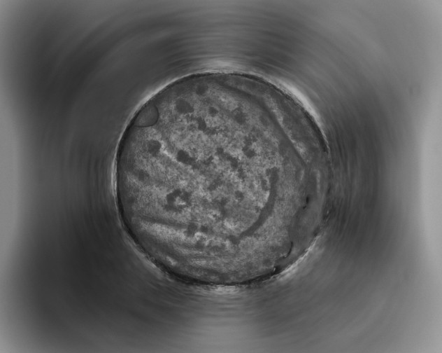 X0000091720839200709141204