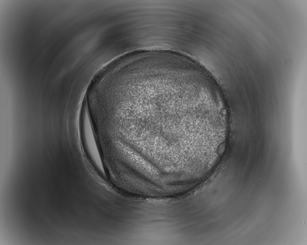 X0000091720840200709141204