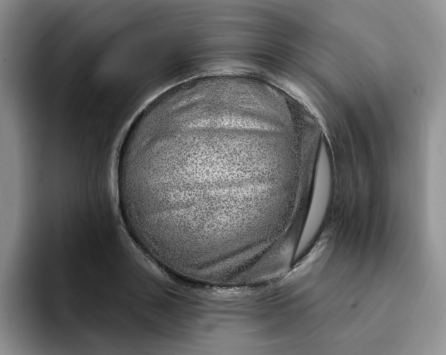 X0000091720843200709141204