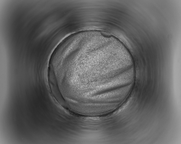 X0000091720844200709141204