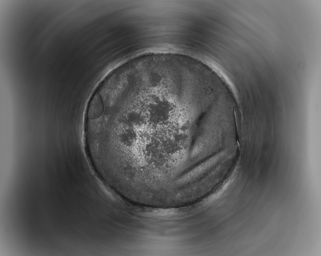 X0000091720845200709141204