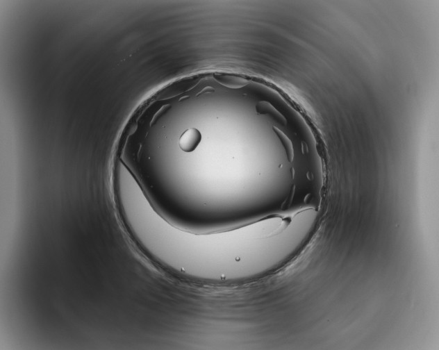 X0000091720846200709141204