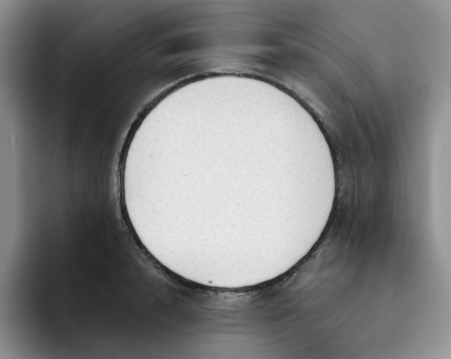 X0000091720848200709141204