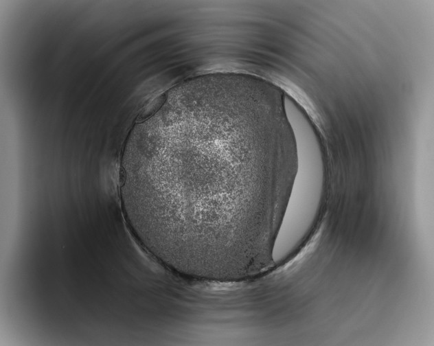 X0000091720849200709141204