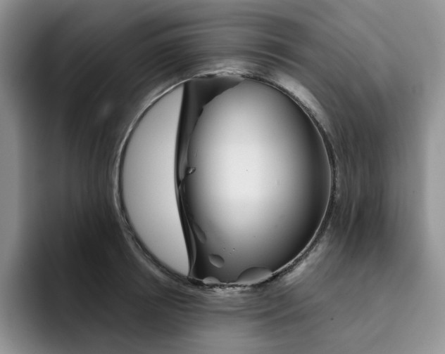 X0000091720850200709141204