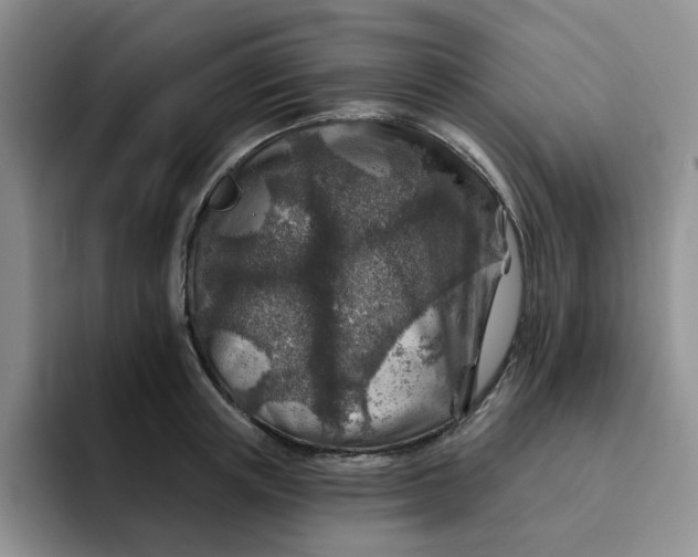 X0000091720851200709141204