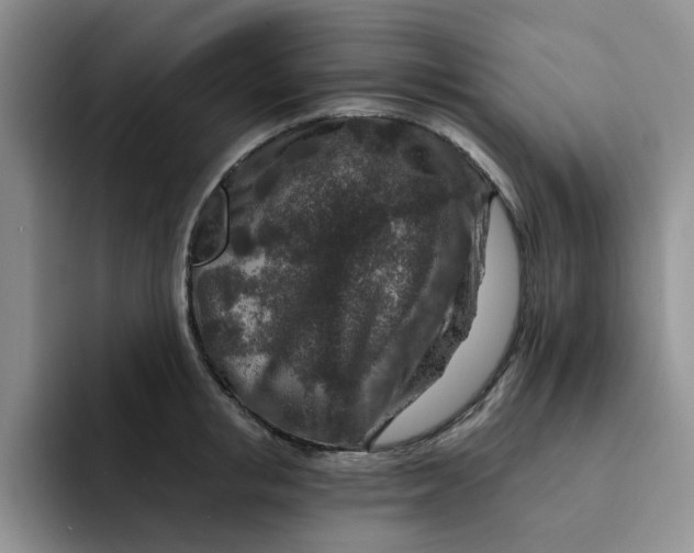 X0000091720853200709141204