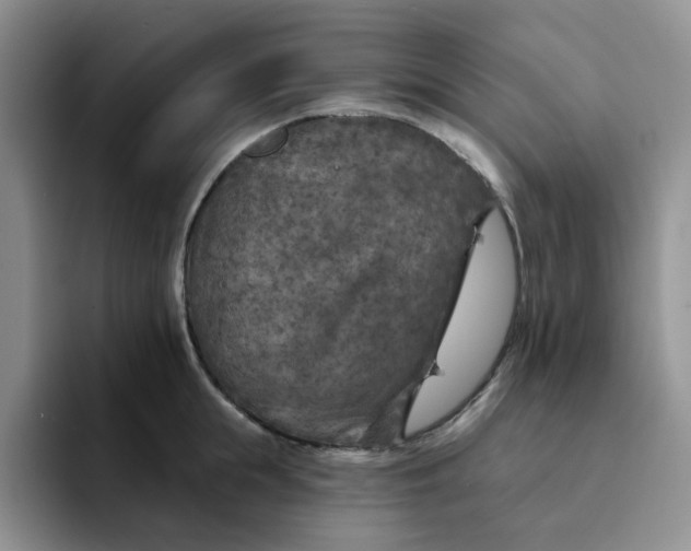 X0000091720855200709141204