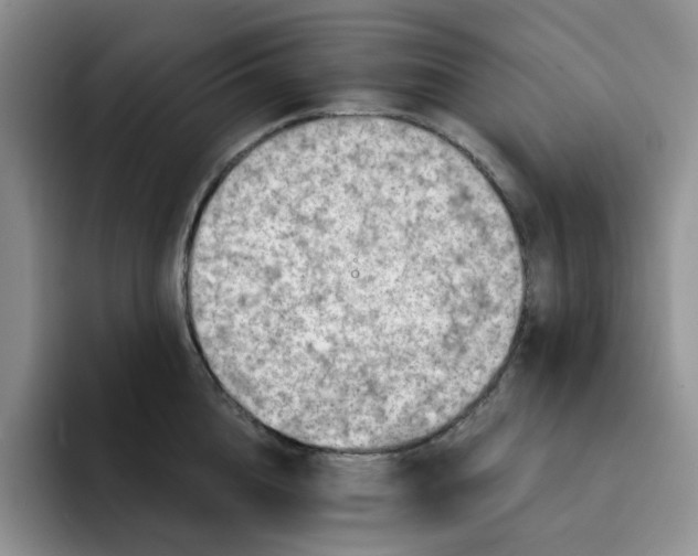 X0000091720856200709141204