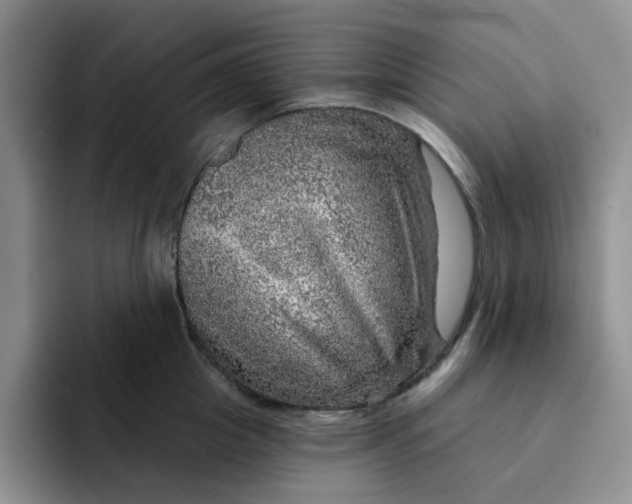 X0000091720857200709141204