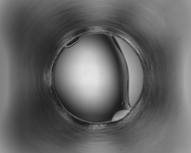 X0000091720858200709141204