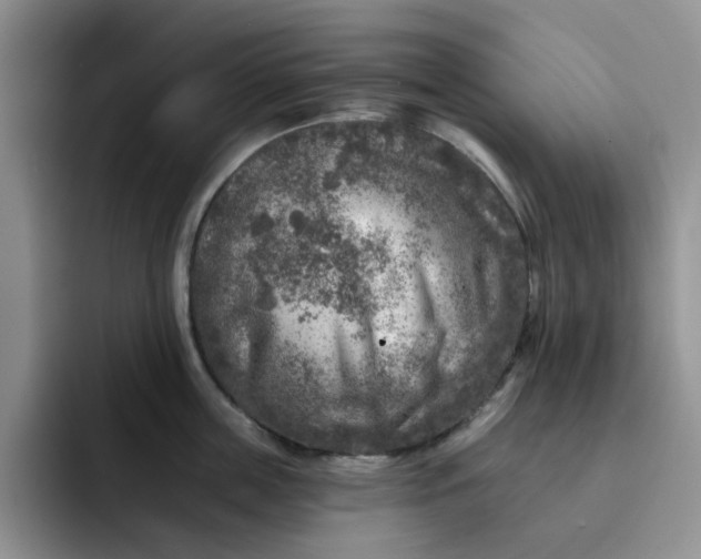 X0000091720859200709141204