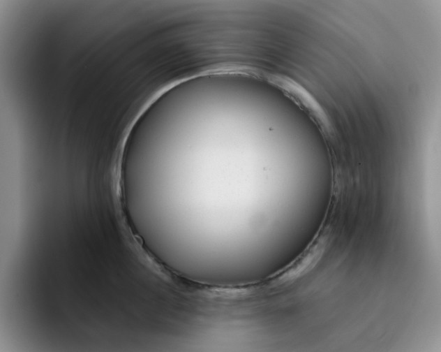 X0000091720860200709141204