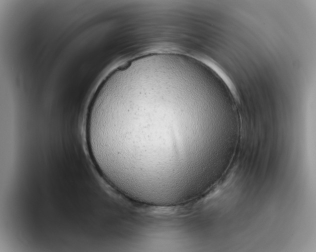 X0000091720861200709141204