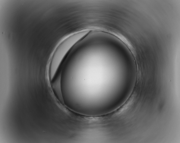 X0000091720862200709141204