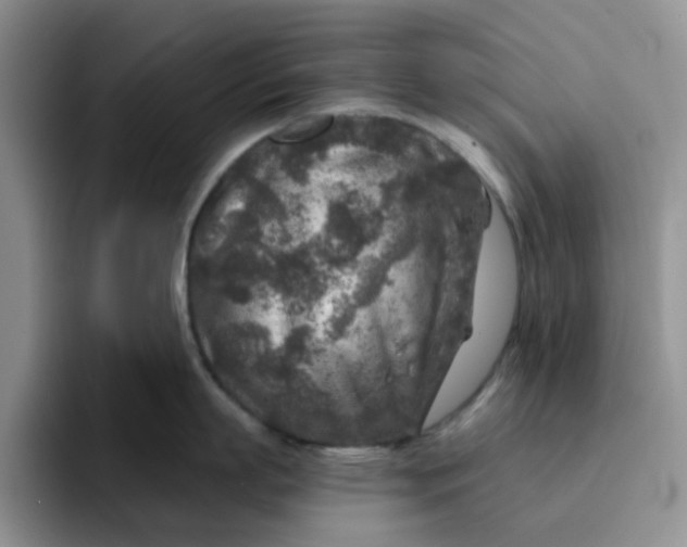 X0000091720863200709141204