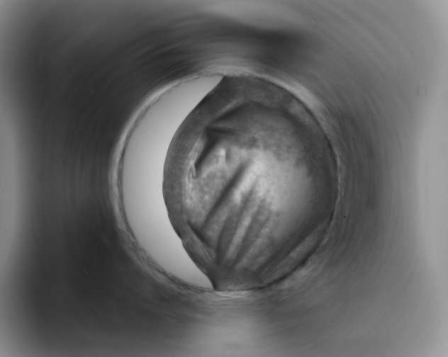 X0000091720864200709141204