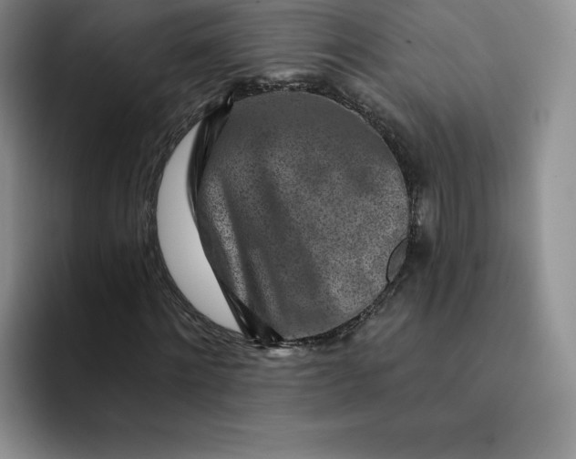 X0000091720868200709141203