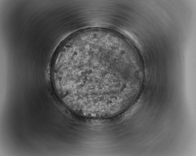 X0000091720875200709141203