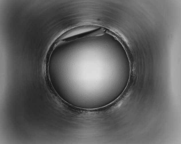 X0000091720877200709141203