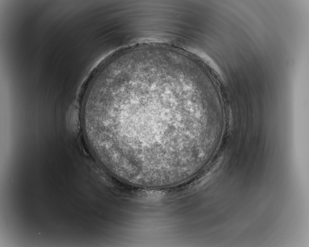 X0000091720878200709141203