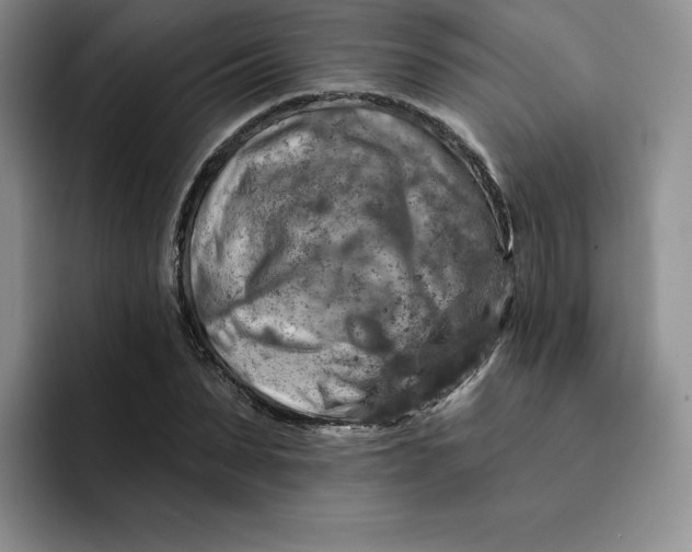 X0000091720879200709141203