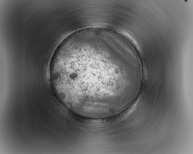 X0000091720883200709141203