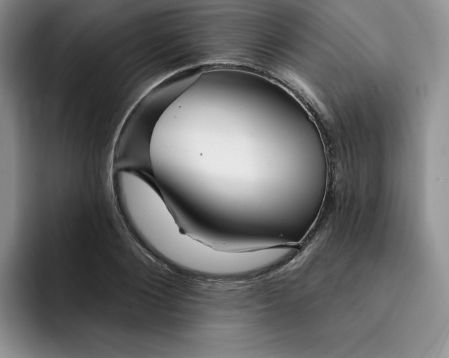 X0000091720884200709141203