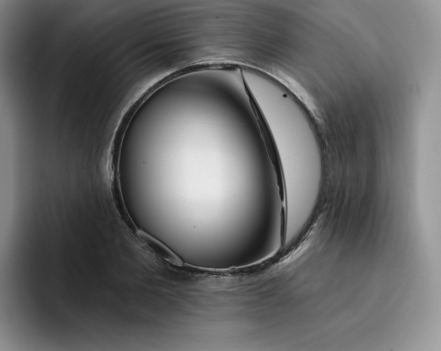 X0000091720885200709141203