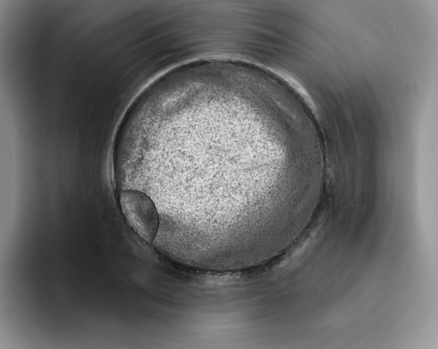 X0000091720887200709141203