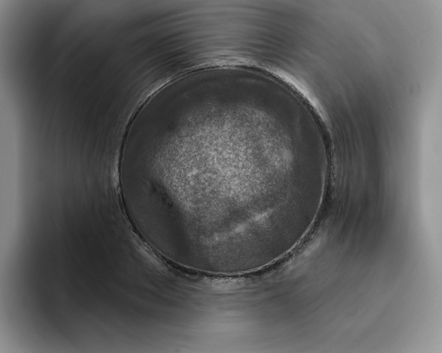 X0000091720889200709141203