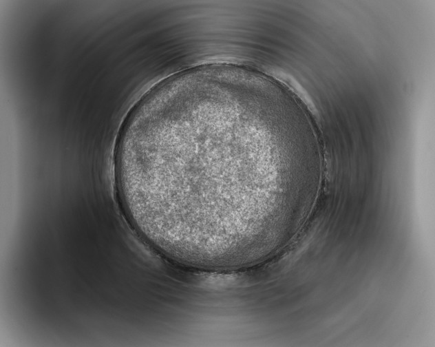 X0000091720890200709141203