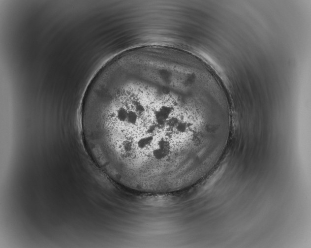 X0000091720891200709141203