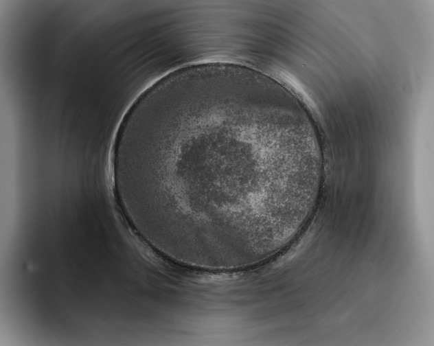 X0000091720892200709141203