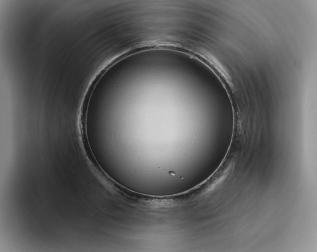 X0000091720893200709141203