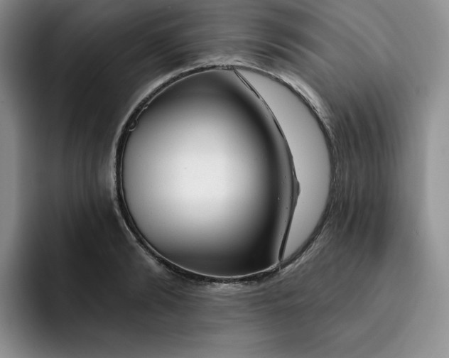 X0000091720894200709141203