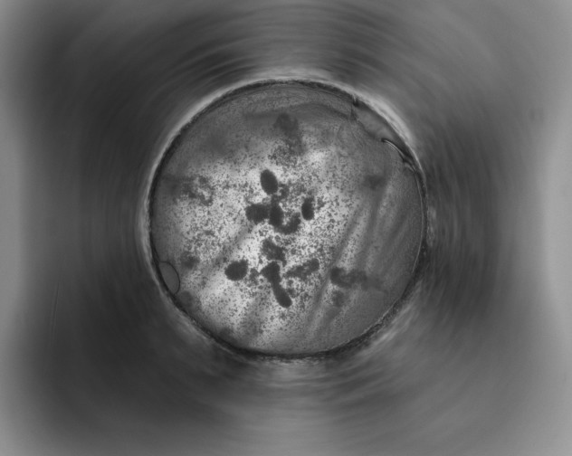 X0000091720895200709141203