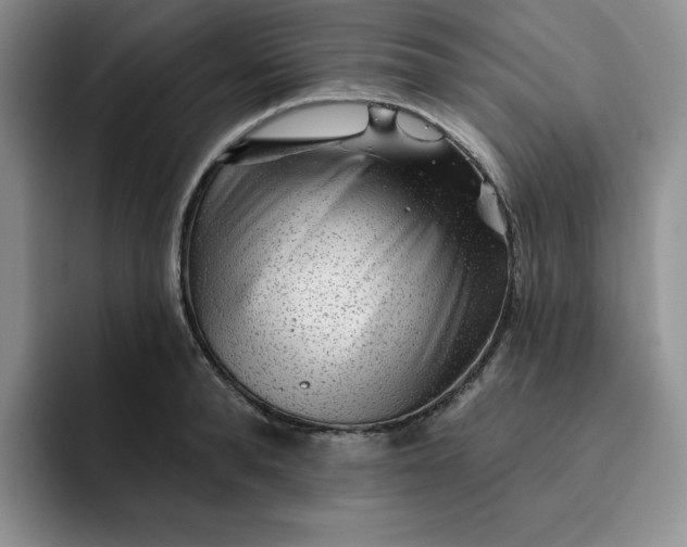 X0000091720896200709141203